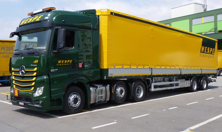 Wespe Transport